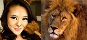Create a sultry lion makeup look for Halloween