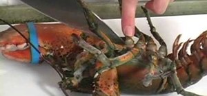 Kill and cook a lobster