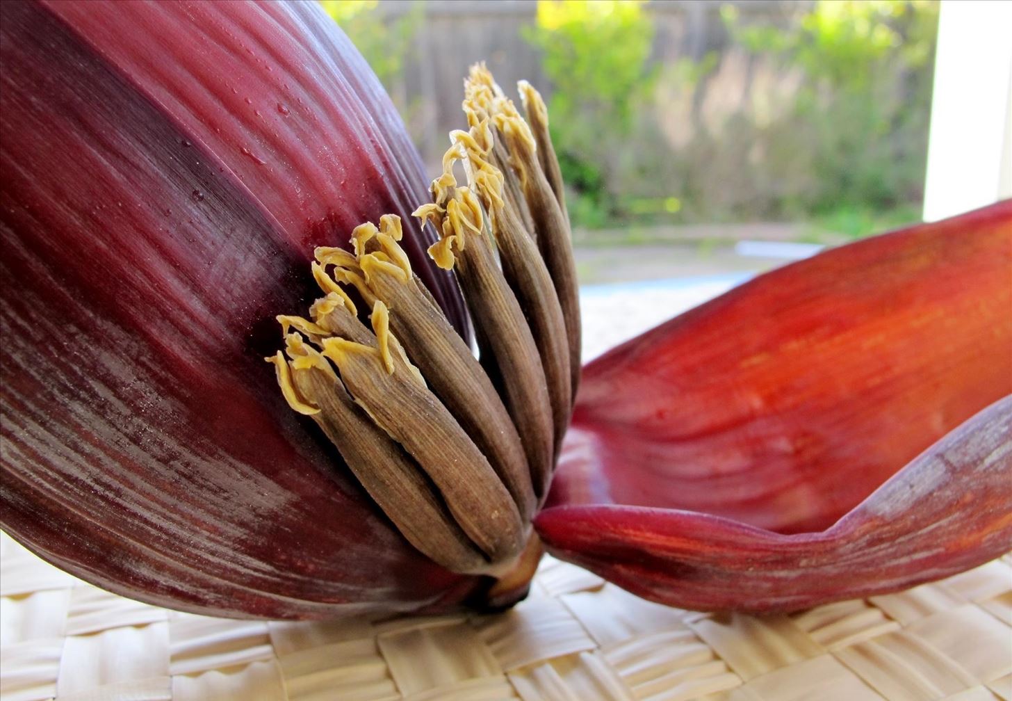 Weird Ingredient Wednesday: The Banana Flower