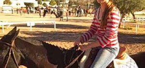 Ride a horse if you are a beginner