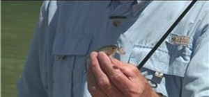 Fish using a jerk bait