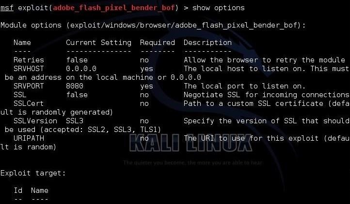 Hack Like a Pro: Hacking Windows XP Through Windows 8 Using Adobe Flash Player
