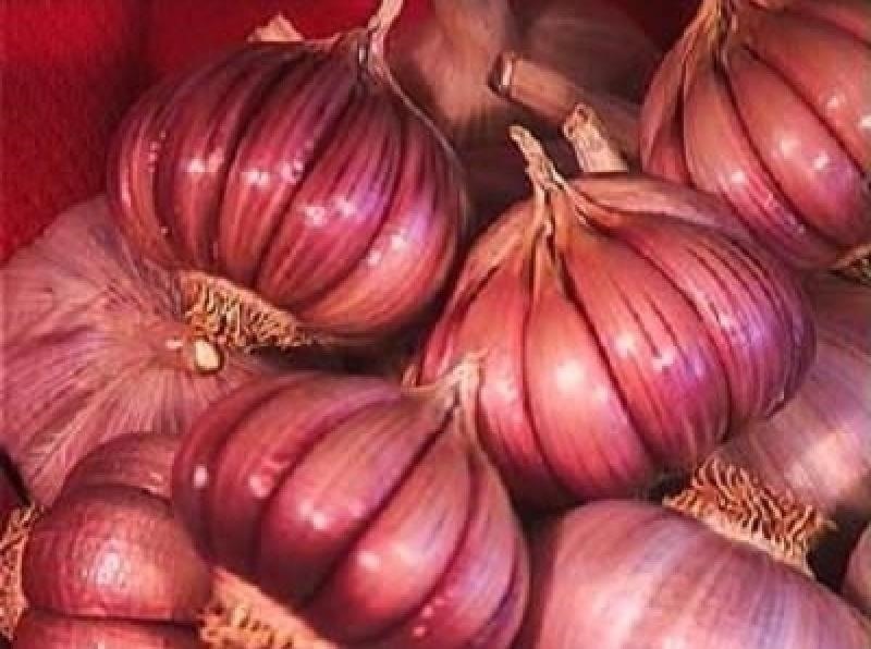 The Ultimate Garlic Cheat Sheet: Which Type of Garlic Goes Best with What?