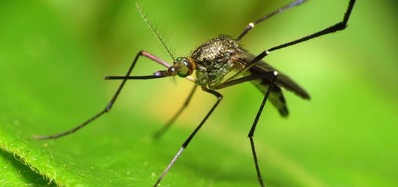 CDC Issues Zika Warning for Miami Sperm Banks