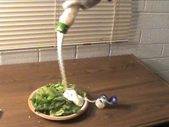 How to Ruin Someone's Salad (Prank Their Favorite Bottle of Dressing)