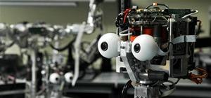 Humanoid Robots To Take Over the World