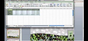 Paste an Excel table into a PowerPoint for Mac 2011 presentation