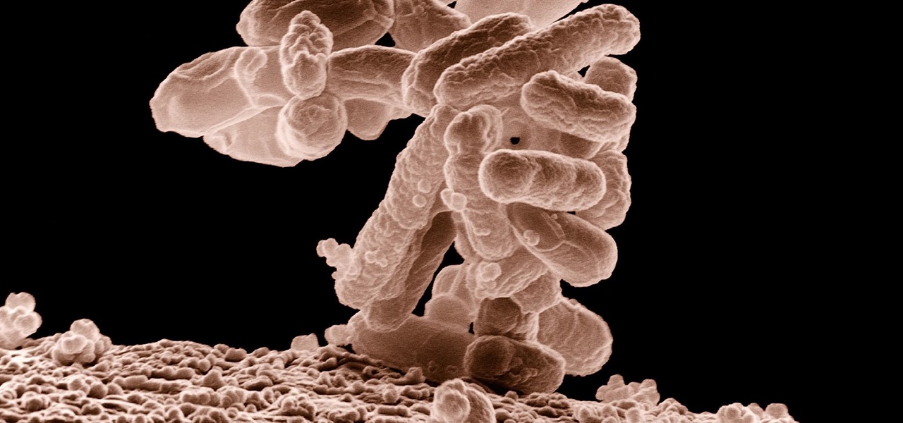 Terrifying Superbug CRE Is Spreading Out of Hospitals