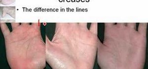 Understand the secrets of the palm in palm reading