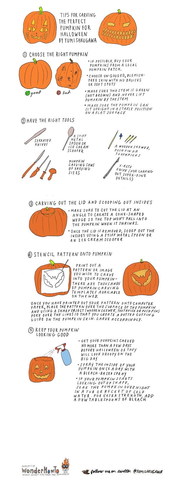 How to Carve the Perfect Halloween Pumpkin