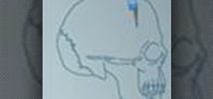 Draw a cartoon skull in profile