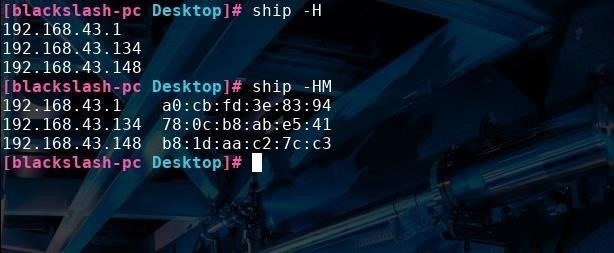 Linux Basics for the Aspiring Hacker: Using Ship for Quick & Handy IP Address Information