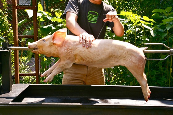 HowTo: Roast a Pig on a Spit