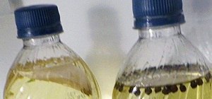 Infuse Homemade Cooking Oils in Soda Bottle Containers