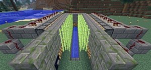 Sugar Rush! How to Make an Automatic Sugarcane Farm in Minecraft