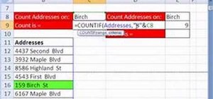 Use names and wildcards with Excel's COUNTIF function