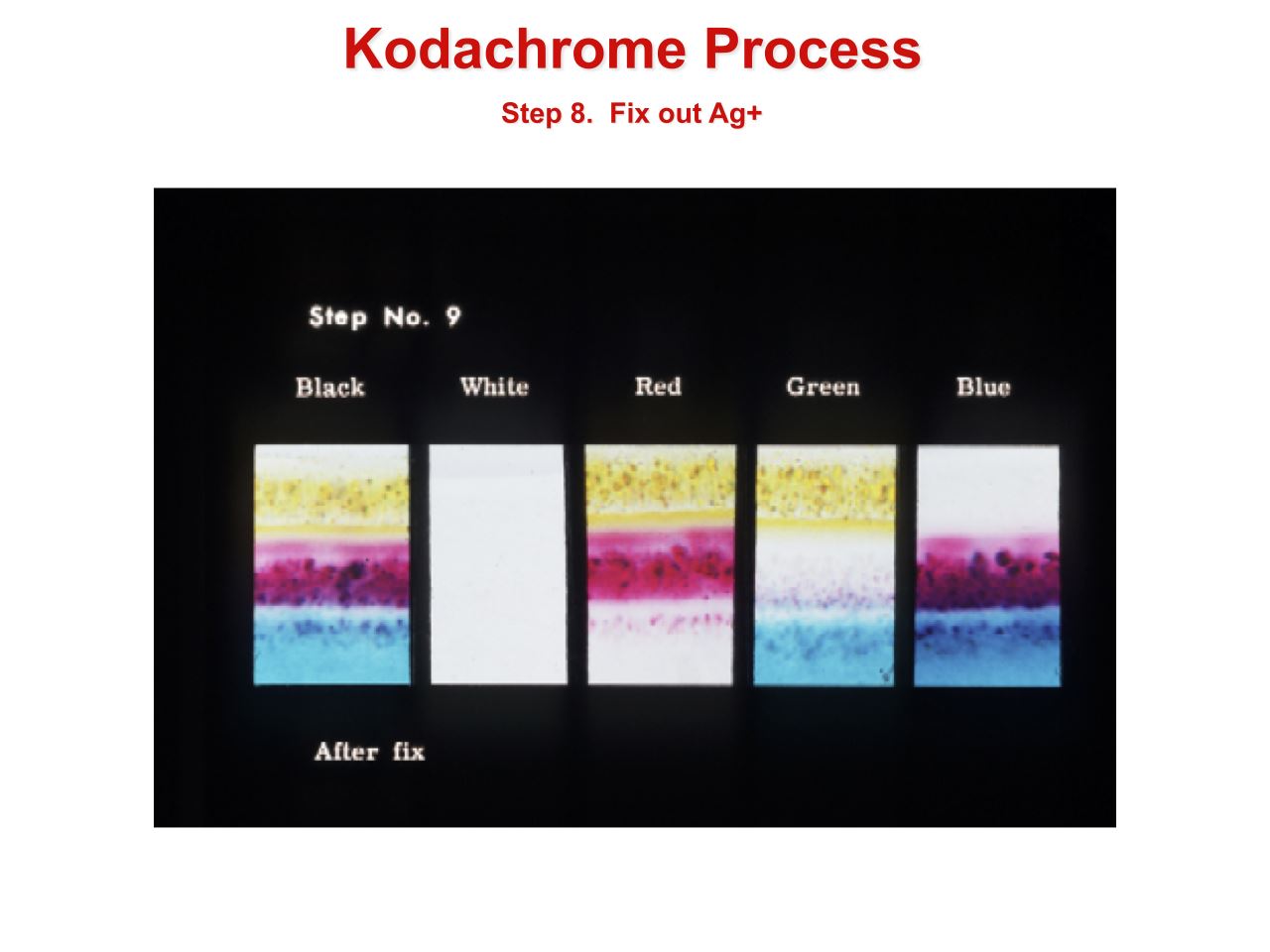 How to Develop Kodachrome Film (B&W Hand Processing & Kodak's K-14 Process)