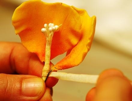 HowTo: Fantastic Flower Gum Paste Tutorials