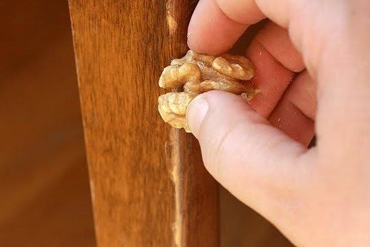 A person using a walnut to buff out scratched furniture.
