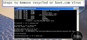 Remove autorun.inf and boot.com virus on your PC