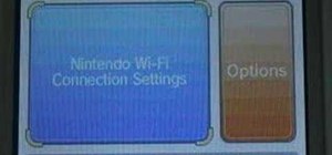 Connect the nintendo DS to wireless Internet