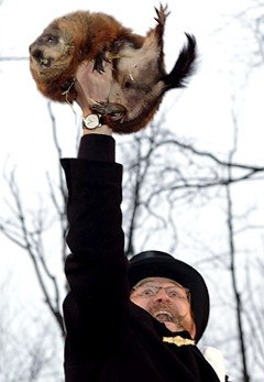 How to Watch the Official 2011 Groundhog Day Ceremony Live Online