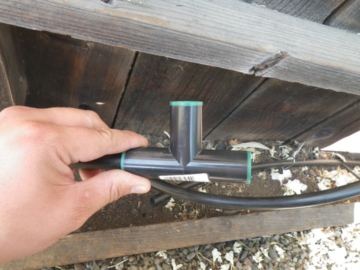 How to Install No-Frills Drip Irrigation
