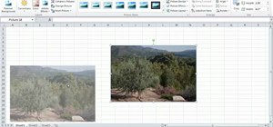 Edit pictures within Microsoft Excel 2010