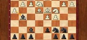 Use the Alekhine defense in chess openings