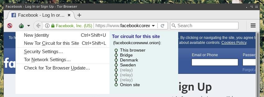 key tor browser gydra